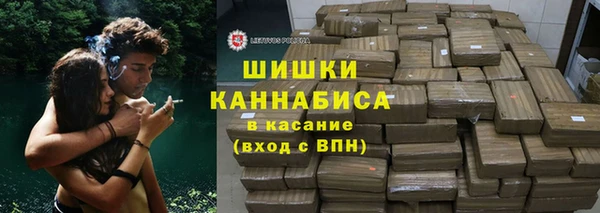 индика Лихославль