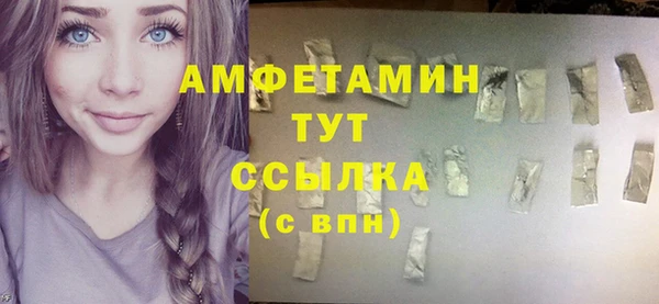 индика Лихославль