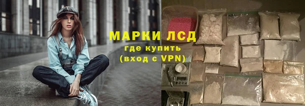 индика Лихославль
