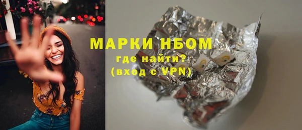 индика Лихославль