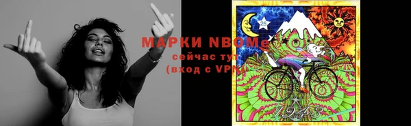 индика Лихославль