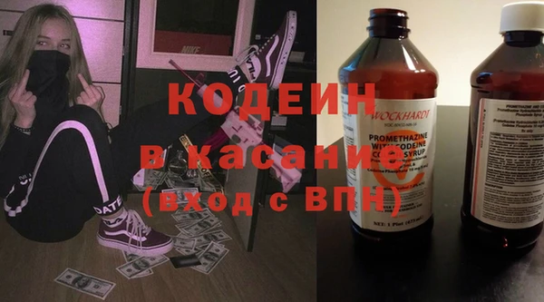 индика Лихославль